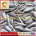 Factory Directly Sell Sunflower Seeds 363